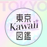 東京高級デリヘル東京Kawaii図鑑の料金や予約方法を徹底調査